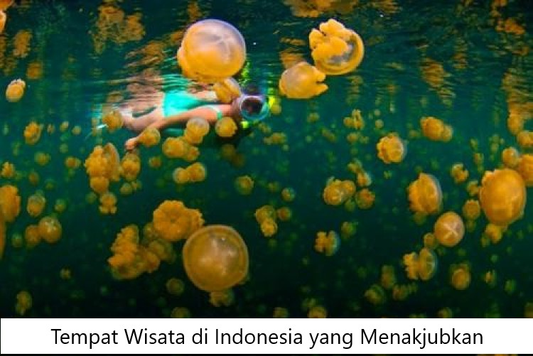 Tempat Wisata di Indonesia