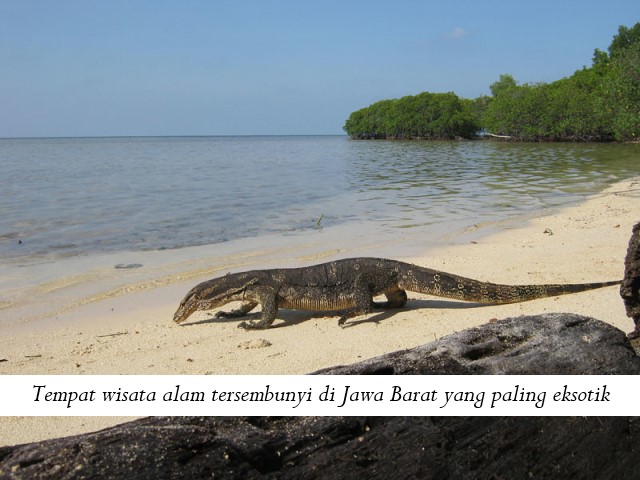 Tempat wisata alam tersembunyi di Jawa Barat yang paling eksotik